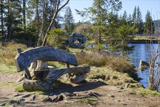 Resting bench at the Oderteich, dam, Harz National Park, Lower Saxony, Germany, Europe