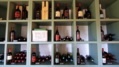 Shelves with a variety of wine bottles and price labels in a wine shop, Planeta winery, Sicilian