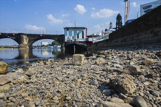 Low water in the Elbe in Dresden