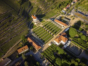 Wackerbarth Castle, originally Wackerbarths Ruh', is a Baroque castle surrounded by vineyards in