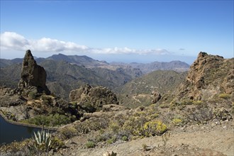 Caldera de Tejeda, Las Palmas Province, Gran Canaria, Canary Islands, Spain, Europe