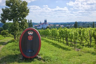 View of Meissen from the Proschwitz Winery