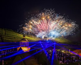 Summer Night Ball at Wackerbarth Castle