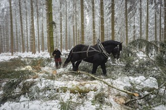 Winter in the Ore Mountains