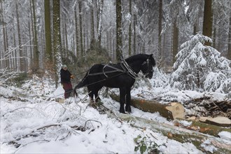 Winter in the Ore Mountains