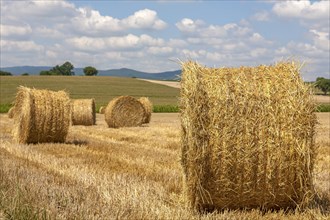 Stubble field with straw rolls, Palatinate, Rhineland-Palatinate, Germany, Europe