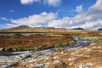 Autumnal mountain landscape with river Store Ula, Rondane National Park, Norway, Europe