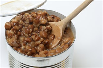 Lentil (Lens culinaris) dish in tin, lentil