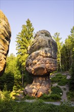 The Kelchstein is a mushroom rock in the Zittau Mountains near Oybin in Saxony and is part of the