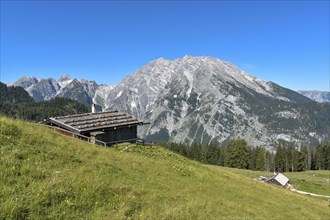 Alpine huts of the Priesbergalm in front of the Watzmann in the Berchtesgaden National Park,