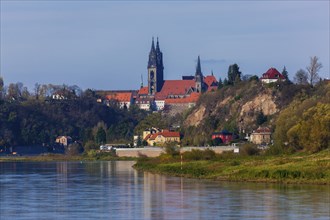 Meissener Scherenschnitt