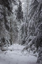 Winter in the Ore Mountains