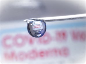 Macro image Covid vaccine, a drop of Moderna vaccine hangs on a vaccine needle