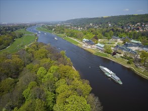 Steamship parade of historic paddle steamers in front of Pillnitz Palace