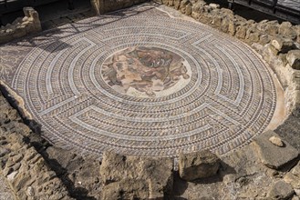 Mosaic in the House of Theseus in the Paphos Archaeological Park, Cyprus, Europe