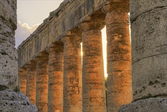 Evening light, Doric temple, detail, backlit columns, Segesta, Ancient site, Archaeological site,