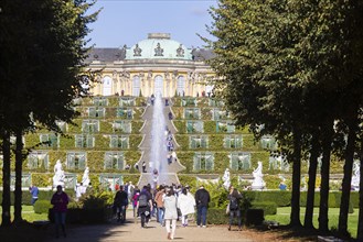 Sanssouci Palace, Royal Summer Palace with 18th century furniture and famous vineyard terraces