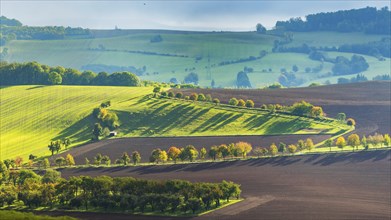 Autumnal field landscape near Possendorf in the Eastern Ore Mountains