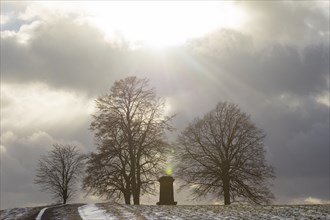 Hohburkersdorf panorama with Napoleon lime tree and memorial stone. To commemorate the victims of