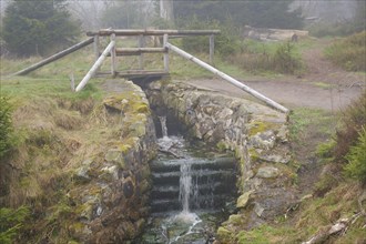 Small waterfall at the Oderteich, Nebel, Harz National Park, Lower Saxony, Germany, Europe