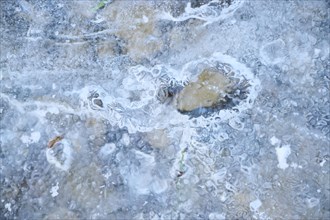 Detail of rozen water (ice) and air bubbles, Upper Palatinate, Bavaria, Germany, Europe