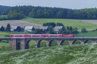 Göltzschtal Bridge