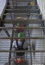 People with colourful helmets on a grating staircase of the former industrial plant Phoenix West,