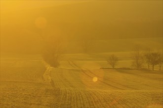 Fields around Possendorf in the Eastern Ore Mountains