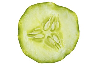 Close-up of a cucumber (Cucumis sativus) slice, on white