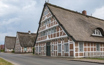 Street with historic thatched half-timbered farm houses, Altländer Bauernhäuser, Altes Land, Lower