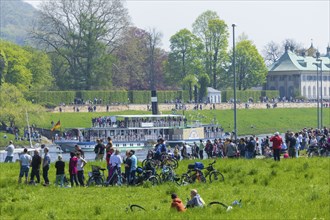 Steamship parade of historic paddle steamers in front of Pillnitz Palace