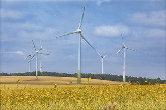 Voigtsdorf-Dorfchemnitz, wind farm on the Saidenberg mountain