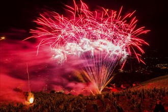 Summer Night Ball at Wackerbarth Castle