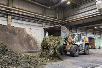 A wheel loader is used to move the biowaste delivered to the MVV biogas plant in Dresden, piling up