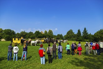 8th stagecoach meeting in Grillenburg