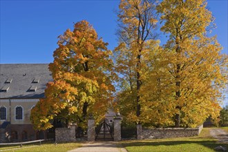 Altzella Monastery Park