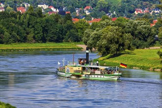 Elbe steamer Krippen on the Elbe off Radebeul