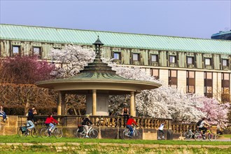 Spring on the Königsufer in Dresden