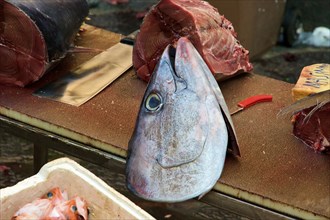 Pieces of tuna, fish head, detail, fish market, Catania, Old Town, Baroque Old Town, Eastern