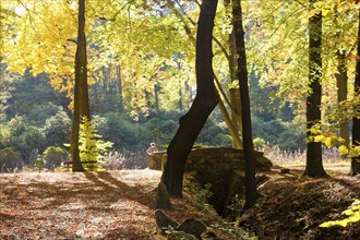 Kromlau Castle Park Rakotz Bridge