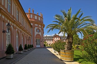 Biebrich Palace with palm trees and the rotunda from the palace park side, Wiesbaden, Hesse,