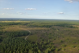 Aerial view of the Osterheide during the heath blossom in the Lüneburg Heath. Schneverdingen, Lower