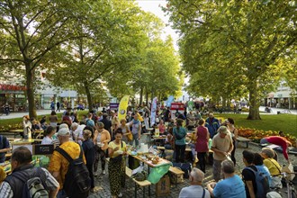 Festival on the main street