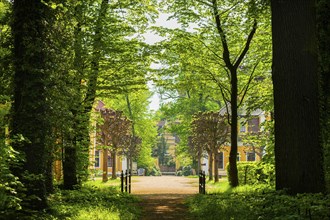 Neschwitz Baroque Palace