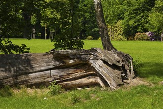 Pulsnitz Castle Park