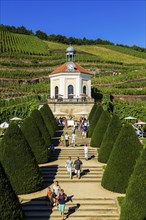 Wackerbarth Castle or Wackerbarths Ruh is a Baroque castle surrounded by vineyards in the