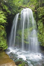 Blackbird Falls in the Amselgrund in Saxon Switzerland