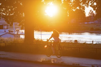 Cyclists on the Elbe cycle path in the light of the setting sun