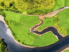 Top Down over Sharpham Meadows and Marsh over River Dart from a drone, Totnes, Devon, England,