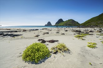 Sandvika beach near Nykvag, Langoya island, Vesteralen archipelago, Norway, Europe